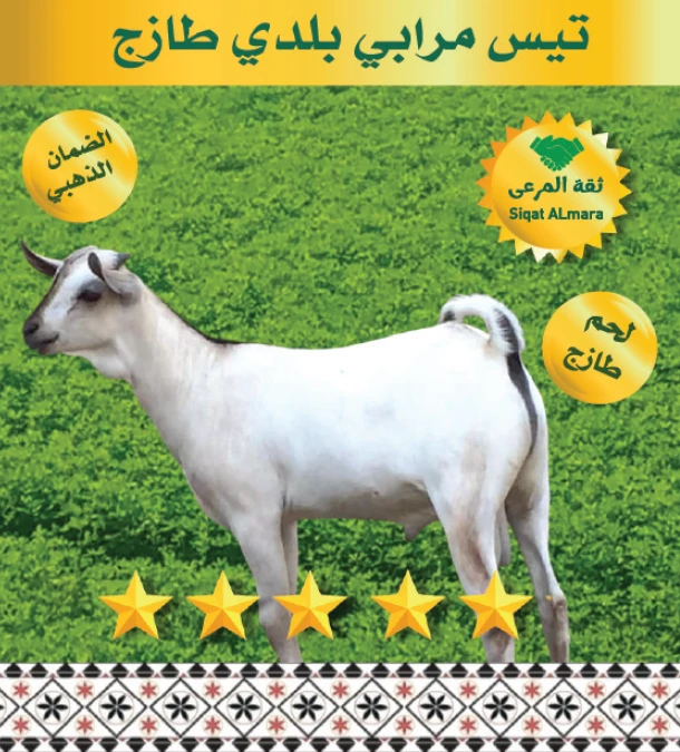 نصف تيس تربية (كبدة) 6-7 ك