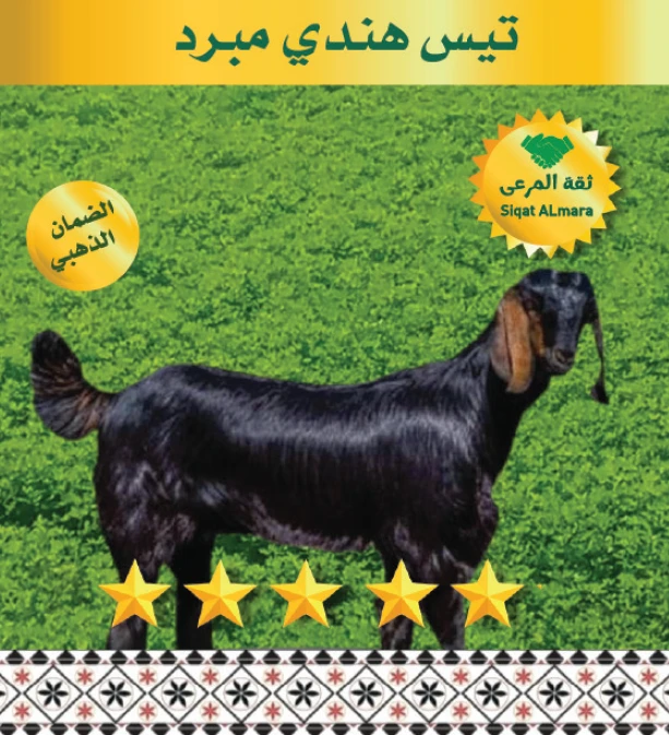 تيس هندي مبرد 10كامل ذبيحة